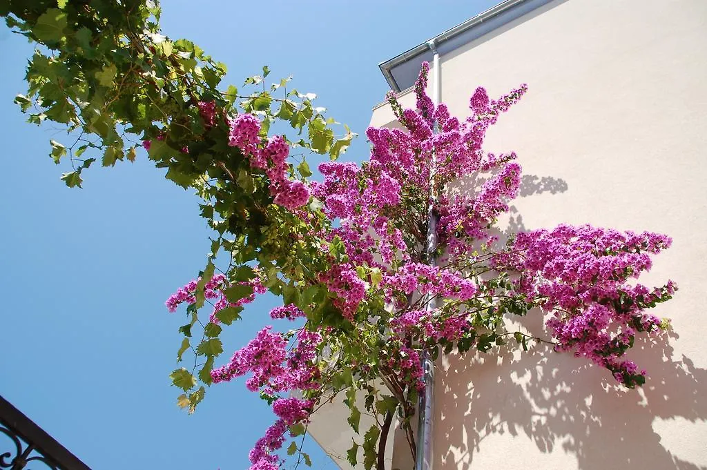 Apartment Gold Trogir
